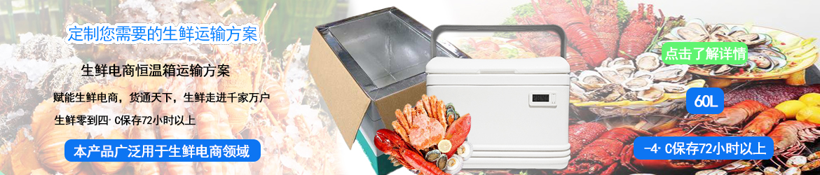 11L超低溫-55℃干冰型冷凍保溫箱可反復使用無需用電制冷穩(wěn)定控溫深冷冰凍-55~-20℃